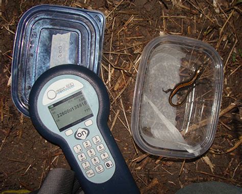 oregon rfid pit tags|oregon rfid pit tag scanner.